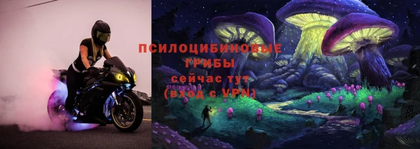 хмурый Алзамай